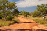 Australasian;Australia;Australian;countryside;gravel-road;gravel-roads;Kimberley;Kimberley-Region;metal-road;metal-roads;metalled-road;metalled-roads;Purnululu-N.P.;Purnululu-National-Park;Purnululu-NP;road;roads;rural;Spring-Creek-Track;The-Kimberley;UN-world-heritage-area;UN-world-heritage-site;UNESCO-World-Heritage-area;UNESCO-World-Heritage-Site;united-nations-world-heritage-area;united-nations-world-heritage-site;W.A.;WA;West-Australia;Western-Australia;world-heritage;world-heritage-area;world-heritage-areas;World-Heritage-Park;World-Heritage-site;World-Heritage-Sites
