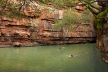 Australasian;Australia;Australian;billabong;billabongs;bluff;bluffs;cliff;cliffs;Kimberley;Kimberley-Region;people;person;swimming-hole;swimming-holes;The-Grotto;The-Kimberley;tourism;tourist;tourists;W.A.;WA;waterhole;waterholes;West-Australia;Western-Australia;Wyndham