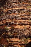 arid;Australasia;Australasian;Australia;Australian;Australian-Outback;back-country;backcountry;backwoods;beehives;box-canyon;box-canyons;Bungle-Bungle;Bungle-Bungle-Range;Bungle-Bungles;Cathedral-Gorge;country;countryside;geographic;geography;geological;geology;Kimberley;Kimberley-Region;layer;layers;Outback;Purnululu-N.P.;Purnululu-National-Park;Purnululu-NP;remote;remoteness;rock;rock-formation;rock-formations;rock-outcrop;rock-outcrops;rocks;rural;Sedementary-layer;Sedementary-layers;The-Kimberley;UN-world-heritage-area;UN-world-heritage-site;UNESCO-World-Heritage-area;UNESCO-World-Heritage-Site;united-nations-world-heritage-area;united-nations-world-heritage-site;W.A.;WA;West-Australia;Western-Australia;wilderness;world-heritage;world-heritage-area;world-heritage-areas;World-Heritage-Park;World-Heritage-site;World-Heritage-Sites