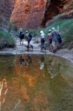 arid;Australasia;Australasian;Australia;Australian;Australian-Outback;back-country;backcountry;backwoods;box-canyon;box-canyons;Bungle-Bungle;Bungle-Bungle-Range;Bungle-Bungles;calm;canyon;canyons;Cathedral-Gorge;chasm;chasms;country;countryside;female;geographic;geography;geological;geology;gorge;gorges;hiking-track;hiking-tracks;Kimberley;Kimberley-Region;male;man;men;Outback;people;person;placid;puddle;puddles;Purnululu-N.P.;Purnululu-National-Park;Purnululu-NP;quiet;reflection;reflections;remote;remoteness;rock;rock-formation;rock-formations;rock-outcrop;rock-outcrops;rocks;rural;serene;smooth;still;The-Kimberley;tourism;tourist;tourists;track;tracks;tranquil;UN-world-heritage-area;UN-world-heritage-site;UNESCO-World-Heritage-area;UNESCO-World-Heritage-Site;united-nations-world-heritage-area;united-nations-world-heritage-site;W.A.;WA;walking-track;walking-tracks;water;waterhole;West-Australia;Western-Australia;wilderness;woman;women;world-heritage;world-heritage-area;world-heritage-areas;World-Heritage-Park;World-Heritage-site;World-Heritage-Sites