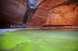algae;arid;Australasia;Australasian;Australia;Australian;Australian-Outback;back-country;backcountry;backwoods;billabong;billabongs;box-canyon;box-canyons;Bungle-Bungle;Bungle-Bungle-Range;Bungle-Bungles;canyon;canyons;Cathedral-Gorge;chasm;chasms;country;countryside;geographic;geography;geological;geology;gorge;gorges;green-algae;Kimberley;Kimberley-Region;Outback;pool;pools;Purnululu-N.P.;Purnululu-National-Park;Purnululu-NP;remote;remoteness;rock;rock-formation;rock-formations;rock-outcrop;rock-outcrops;rocks;rural;The-Kimberley;UN-world-heritage-area;UN-world-heritage-site;UNESCO-World-Heritage-area;UNESCO-World-Heritage-Site;united-nations-world-heritage-area;united-nations-world-heritage-site;W.A.;WA;water;waterhole;waterholes;West-Australia;Western-Australia;wilderness;world-heritage;world-heritage-area;world-heritage-areas;World-Heritage-Park;World-Heritage-site;World-Heritage-Sites