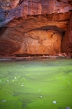 algae;arid;Australasia;Australasian;Australia;Australian;Australian-Outback;back-country;backcountry;backwoods;billabong;billabongs;box-canyon;box-canyons;Bungle-Bungle;Bungle-Bungle-Range;Bungle-Bungles;canyon;canyons;Cathedral-Gorge;chasm;chasms;country;countryside;geographic;geography;geological;geology;gorge;gorges;green-algae;Kimberley;Kimberley-Region;Outback;pool;pools;Purnululu-N.P.;Purnululu-National-Park;Purnululu-NP;remote;remoteness;rock;rock-formation;rock-formations;rock-outcrop;rock-outcrops;rocks;rural;The-Kimberley;UN-world-heritage-area;UN-world-heritage-site;UNESCO-World-Heritage-area;UNESCO-World-Heritage-Site;united-nations-world-heritage-area;united-nations-world-heritage-site;W.A.;WA;water;waterhole;waterholes;West-Australia;Western-Australia;wilderness;world-heritage;world-heritage-area;world-heritage-areas;World-Heritage-Park;World-Heritage-site;World-Heritage-Sites