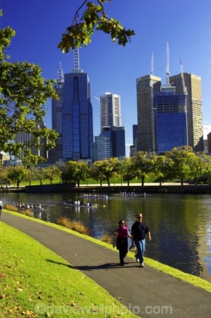 alexander-gardens;alexandra-gardens;australasian;Australia;australian;boat;boats;c.b.d.;cbd;central-business-district;cities;city;cityscape;cityscapes;high-rise;high-rises;high_rise;high_rises;highrise;highrises;Melbourne;multi_storey;multi_storied;multistorey;multistoried;oak;oak-tree;oak-trees;oaks;office;office-block;office-blocks;offices;pedestrains;pedestrian;river;rivers;row;rower;rowers;rowing;rowing-8;rowing-8s;Rowing-Eight;rowing-eights;scull;sculler;scullers;sculling;sky-scraper;sky-scrapers;sky_scraper;sky_scrapers;skyscraper;skyscrapers;tower-block;tower-blocks;Victoria;walk;walker;walkers;walking;Yarra-River