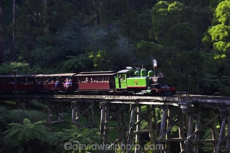 australasia;Australia;australian;bridge;bridges;bush;carriage;carriages;children;Dandenong-Ranges;dandenongs;eucalypt;eucalypts;eucalyptus-trees;eucalyptus-treet;excursion;forest;forests;gum-trees;Melbourne;native-bush;native-trees;passenger;passenger-train;passenger-trains;passengers;Puffing-Billy-Steam-Train;rail;railroad;railroads;rails;railway;railways;tourism;tourist;tourist-train;tourist-trains;tourists;track;tracks;train;trains;transport;transportation;tree;trees;trip;viaduct;viaducts;Victoria;wagon;wagons;wooden-bridge;wooden-bridges;wooden-viaduct;wooden-viaducts