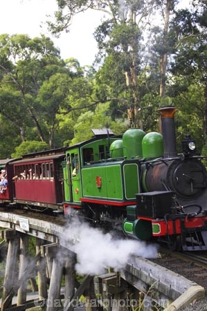 australasia;Australia;australian;bridge;bridges;bush;carriage;carriages;children;Dandenong-Ranges;dandenongs;eucalypt;eucalypts;eucalyptus-trees;eucalyptus-treet;excursion;forest;forests;gum-trees;Melbourne;native-bush;native-trees;passenger;passenger-train;passenger-trains;passengers;Puffing-Billy-Steam-Train;rail;railroad;railroads;rails;railway;railways;tourism;tourist;tourist-train;tourist-trains;tourists;track;tracks;train;trains;transport;transportation;tree;trees;trip;viaduct;viaducts;Victoria;wagon;wagons;wooden-bridge;wooden-bridges;wooden-viaduct;wooden-viaducts