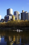 australasian;Australia;australian;autumn;boat;boats;c.b.d.;cbd;central-business-district;cities;city;cityscape;cityscapes;fall;high-rise;high-rises;high_rise;high_rises;highrise;highrises;Melbourne;multi_storey;multi_storied;multistorey;multistoried;office;office-block;office-blocks;offices;reflection;reflections;river;rivers;row;rower;rowers;rowing;scull;sculler;scullers;sculling;sky-scraper;sky-scrapers;sky_scraper;sky_scrapers;skyscraper;skyscrapers;tower-block;tower-blocks;Victoria;Yarra-River