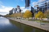 Australia;autuminal;autumn;autumn-colour;autumn-colours;autumnal;c.b.d.;cbd;central-business-district;cities;city;cityscape;cityscapes;color;colors;colour;colours;deciduous;eureka-skydeck;eureka-tower;eureka-towers;fall;high-rise;high-rises;high_rise;high_rises;highrise;highrises;leaf;leaves;Melbourne;multi_storey;multi_storied;multistorey;multistoried;office;office-block;office-blocks;offices;river;rivers;season;seasonal;seasons;sky-scraper;sky-scrapers;sky_scraper;sky_scrapers;skyscraper;skyscrapers;south-bank;southbank;southbank-prominade;tower-block;tower-blocks;tree;trees;VIC;Victoria;yara;yarra;yarra-river