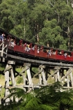 australasia;Australia;australian;bridge;bridges;bush;carriage;carriages;children;Dandenong-Ranges;dandenongs;eucalypt;eucalypts;eucalyptus-trees;eucalyptus-treet;excursion;forest;forests;gum-trees;Melbourne;native-bush;native-trees;passenger;passenger-train;passenger-trains;passengers;Puffing-Billy-Steam-Train;rail;railroad;railroads;rails;railway;railways;tourism;tourist;tourist-train;tourist-trains;tourists;track;tracks;train;trains;transport;transportation;tree;trees;trip;viaduct;viaducts;Victoria;wagon;wagons;wooden-bridge;wooden-bridges;wooden-viaduct;wooden-viaducts
