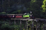 australasia;Australia;australian;bridge;bridges;bush;carriage;carriages;children;Dandenong-Ranges;dandenongs;eucalypt;eucalypts;eucalyptus-trees;eucalyptus-treet;excursion;forest;forests;gum-trees;Melbourne;native-bush;native-trees;passenger;passenger-train;passenger-trains;passengers;Puffing-Billy-Steam-Train;rail;railroad;railroads;rails;railway;railways;tourism;tourist;tourist-train;tourist-trains;tourists;track;tracks;train;trains;transport;transportation;tree;trees;trip;viaduct;viaducts;Victoria;wagon;wagons;wooden-bridge;wooden-bridges;wooden-viaduct;wooden-viaducts