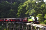 australasia;Australia;australian;bridge;bridges;bush;carriage;carriages;children;Dandenong-Ranges;dandenongs;eucalypt;eucalypts;eucalyptus-trees;eucalyptus-treet;excursion;forest;forests;gum-trees;Melbourne;native-bush;native-trees;passenger;passenger-train;passenger-trains;passengers;Puffing-Billy-Steam-Train;rail;railroad;railroads;rails;railway;railways;tourism;tourist;tourist-train;tourist-trains;tourists;track;tracks;train;trains;transport;transportation;tree;trees;trip;viaduct;viaducts;Victoria;wagon;wagons;wooden-bridge;wooden-bridges;wooden-viaduct;wooden-viaducts