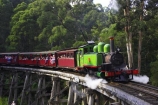 australasia;Australia;australian;bridge;bridges;bush;carriage;carriages;children;Dandenong-Ranges;dandenongs;eucalypt;eucalypts;eucalyptus-trees;eucalyptus-treet;excursion;forest;forests;gum-trees;Melbourne;native-bush;native-trees;passenger;passenger-train;passenger-trains;passengers;Puffing-Billy-Steam-Train;rail;railroad;railroads;rails;railway;railways;tourism;tourist;tourist-train;tourist-trains;tourists;track;tracks;train;trains;transport;transportation;tree;trees;trip;viaduct;viaducts;Victoria;wagon;wagons;wooden-bridge;wooden-bridges;wooden-viaduct;wooden-viaducts