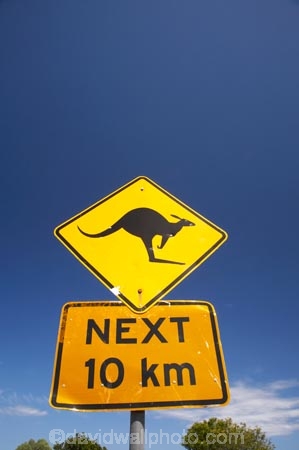 australasia;Australasian;Australia;australian;blue;Broadwater-N.P.;Broadwater-National-Park;Broadwater-NP;kangaroo;Kangaroo-Sign;Kangaroo-Signs;Kangaroo-Warning-Sign;kangaroos;N.S.W.;natural;nature;New-South-Wales;NSW;Road;road-sign;road-signs;road_sign;road_signs;roads;roadsign;roadsigns;sign;signs;symbol;symbols;tranportation;transport;travel;warn;yellow