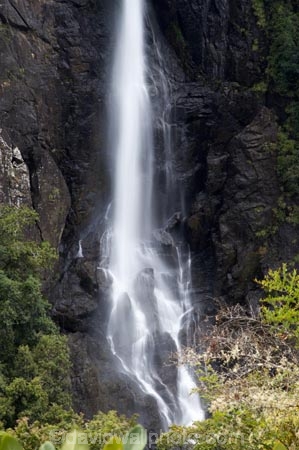 Australasian;Australia;Australian;cascade;cascades;creek;creeks;Elands;Ellenborough-Falls;Ellenborough-River;falls;Greater-Taree-Region;Mid-North-Coast;Mid-North-Coast-NSW;Mid-North-Nsw;Mid-Northern-NSW;N.S.W.;natural;nature;New-South-Wales;NSW;scene;scenic;stream;streams;water;water-fall;water-falls;waterfall;waterfalls;wet