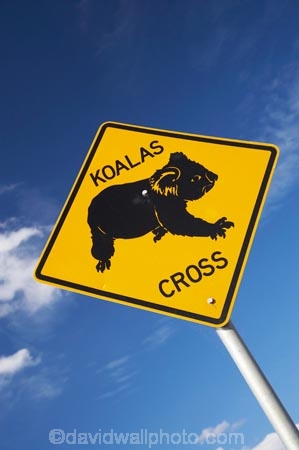 australasia;Australasian;Australia;australian;blue;Koala;Koala-Cross;Koala-Crossing;Koala-Crossing-Sign;Koala-Warning-Sign;koalas;Mid-North-Coast;Mid-North-Coast-NSW;Mid-North-Nsw;Mid-Northern-NSW;N.S.W.;natural;nature;New-South-Wales;NSW;Road;road-sign;road-signs;road_sign;road_signs;roads;roadsign;roadsigns;sign;signs;symbol;symbols;tranportation;transport;travel;warn;Wingham;yellow