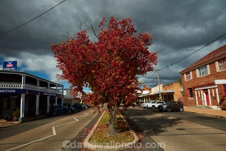 Main-Street;Maitland-St;Bingara;New-South-Wales;NSW;N.S.W.;New-England;Gwydir-Shire;Australia;autumn;fall;cloud;black-cloud;dark-clouds;Imperial-Hotel