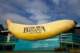 australasia;Australasian;Australia;australian;banana;bananas;big;Big-Banana;big-fruit;Coffs-Harbor;Coffs-Harbour;Coffs-Harbor;Coffs-Harbour;fruit;fruits;giant;huge;icon;icons;Mid-North-Coast;Mid-North-Coast-NSW;Mid-North-Nsw;Mid-Northern-NSW;N.S.W.;New-South-Wales;NSW;tacky;The-Big-Banana;tropical