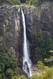 Australasian;Australia;Australian;cascade;cascades;creek;creeks;Elands;Ellenborough-Falls;Ellenborough-River;falls;Greater-Taree-Region;Mid-North-Coast;Mid-North-Coast-NSW;Mid-North-Nsw;Mid-Northern-NSW;N.S.W.;natural;nature;New-South-Wales;NSW;scene;scenic;stream;streams;water;water-fall;water-falls;waterfall;waterfalls;wet