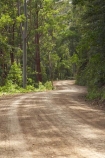 Australasian;Australia;Australian;Boorganna;bush;Colling-Rd;Colling-Road;countryside;Elands;eucalypt;eucalypts;eucalyptus;Eucalyptus-Trees;eucalytis;forest;forests;gravel-road;gravel-roads;Greater-Taree-Region;gum;gum-tree;gum-trees;gums;metal-road;metal-roads;metalled-road;metalled-roads;Mid-North-Coast;Mid-North-Coast-NSW;Mid-North-Nsw;Mid-Northern-NSW;N.S.W.;New-South-Wales;NSW;road;roads;rural;tree;trees