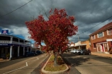 Main-Street;Maitland-St;Bingara;New-South-Wales;NSW;N.S.W.;New-England;Gwydir-Shire;Australia;autumn;fall;cloud;black-cloud;dark-clouds;Imperial-Hotel