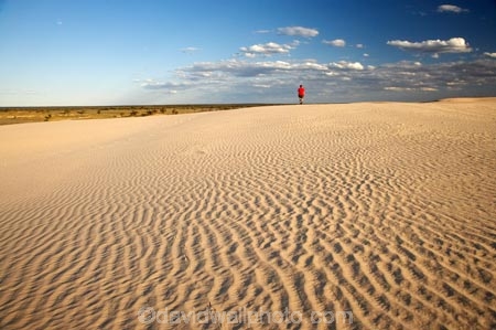 arid;Australasia;Australia;Australian;Australian-Desert;Australian-Deserts;Australian-Outback;back-country;backcountry;backwoods;country;countryside;desert;deserts;dry;dune;dunes;geographic;geography;Mungo-N.P.;Mungo-National-Park;Mungo-NP;N.S.W.;New-South-Wales;NSW;outback;people;person;red-centre;remote;remoteness;ripple;ripples;rock;rural;sand;sand-dune;sand-dunes;sand-hill;sand-hills;sand-ripple;sand-ripples;sand_dune;sand_dunes;sand_hill;sand_hills;sanddune;sanddunes;sandhill;sandhills;sandy;shadow;shadows;tourism;tourist;tourists;walker;walking;wilderness;wind-ripple;wind-ripples