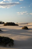 alone;arid;Australasia;Australia;Australian;Australian-Desert;Australian-Deserts;Australian-Outback;back-country;backcountry;backwoods;country;countryside;desert;deserts;dry;dune;dunes;geographic;geography;Mungo-N.P.;Mungo-National-Park;Mungo-NP;N.S.W.;New-South-Wales;NSW;outback;person;prints;red-centre;remote;remoteness;ripple;ripples;rural;sand;sand-dune;sand-dunes;sand-hill;sand-hills;sand-ripple;sand-ripples;sand_dune;sand_dunes;sand_hill;sand_hills;sanddune;sanddunes;sandhill;sandhills;sandy;solitary;tourism;tourist;tourists;walker;walking;wilderness;wind-ripple;wind-ripples