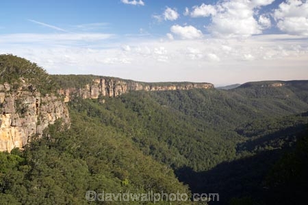 Australasia;Australia;escarpment;escarpments;Morton-N.P.;Morton-National-Park;Morton-NP;N.S.W.;national-park;national-parks;New-South-Wales;NSW;South-New-South-Wales;Southern-Highlands;Southern-New-South-Wales