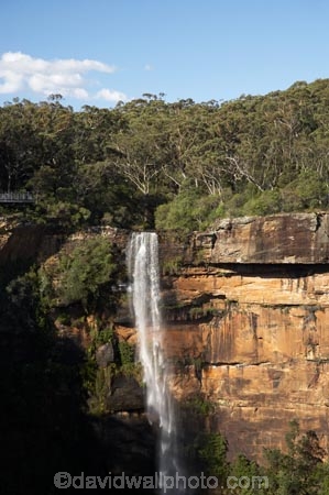 Australasia;Australia;bluff;bluffs;cascade;cascades;cliff;cliffs;creek;creeks;escarpment;escarpments;falls;Fitzroy-Falls;Morton-N.P.;Morton-National-Park;Morton-NP;N.S.W.;national-park;national-parks;natural;nature;New-South-Wales;NSW;scene;scenic;South-New-South-Wales;Southern-Highlands;Southern-New-South-Wales;stream;streams;water;water-fall;water-falls;waterfall;waterfalls;wet