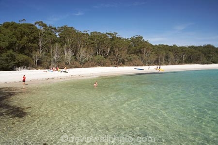 A.C.T.;ACT;aqua;aquamarine;Australasia;Australia;Australian-Capital-Territory;beach;beaches;blue;Booderee-N.P.;Booderee-National-Park;Booderee-NP;boy;boys;brother;brothers;child;children;clean-water;clear-water;coast;coastal;coastline;cobalt-blue;eucalypt;eucalypts;eucalyptus;eucalytis;girl;girls;Green-Patch-Beach;Greenpatch-Beach;gum;gum-tree;gum-trees;gums;Jervis-Bay;Jervis-Bay-Territory;kid;kids;little-boy;little-boys;little-girl;little-girls;N.S.W.;New-South-Wales;NSW;ocean;oceans;people;person;play;playing;sand;sandy;sea;seas;shore;shoreline;sibling;siblings;sister;sisters;South-New-South-Wales;Southern-New-South-Wales;swim;swimmers;swimming;tree;trees;turquoise
