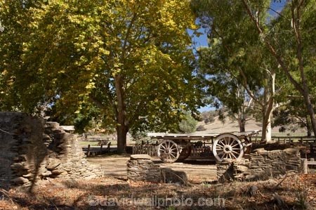 australasia;Australasian;Australia;australian;autuminal;autumn;autumn-colour;autumn-colours;autumnal;cart;carts;cartwheel;cartwheels;color;colors;colour;colours;deciduous;derelict;fall;Gundagai;heritage;historic;historical;history;Joseph-Carberrys-Inn;leaf;leaves;N.S.W.;New-South-Wales;NSW;old;pony-cart;ruin;ruins;season;seasonal;seasons;South-New-South-Wales;South-West-Slopes;Southern-New-South-Wales;spoked-wheel;spoked-wheels;stone-ruins;The-Limestone-Inn;tradition;traditional;tree;trees;waggon;waggons;wagon;wagon-wheel;wagon-wheels;wagons;wheel;wheels