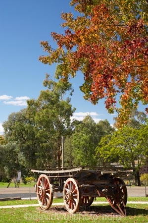 australasia;Australasian;Australia;australian;autuminal;autumn;autumn-colour;autumn-colours;autumnal;cart;carts;cartwheel;cartwheels;color;colors;colour;colours;deciduous;fall;Gundagai;heritage;historic;historical;history;leaf;leaves;liquid-amber;N.S.W.;New-South-Wales;NSW;old;pony-cart;season;seasonal;seasons;South-New-South-Wales;South-West-Slopes;Southern-New-South-Wales;spoked-wheel;spoked-wheels;tradition;traditional;tree;trees;waggon;waggons;wagon;wagon-wheel;wagon-wheels;wagons;wheel;wheels