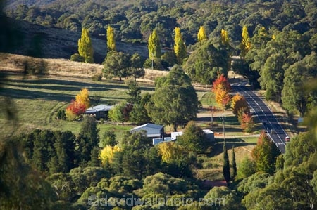 australasia;Australasian;Australia;australian;autumn;Batlow;fall;N.S.W.;New-South-Wales;NSW;Snowy-Mountains;Snowy-Mountains-Drive;South-New-South-Wales;South-West-Slopes;Southern-New-South-Wales