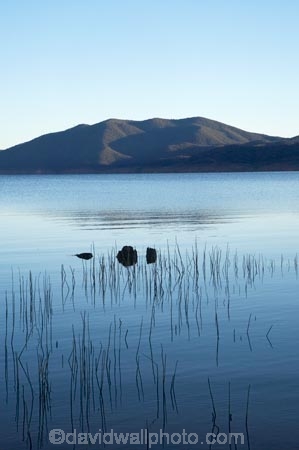 australasia;Australasian;Australia;australian;Blowering-Dam;Blowering-Reservoir;dam;dams;lake;lakes;N.S.W.;New-South-Wales;NSW;reed;reeds;reservoir;reservoirs;Snowy-Mountains;Snowy-Mountains-Drive;Snowy-Mountains-Hydro_Electric-Scheme;Snowy-Mountains-Scheme;South-New-South-Wales;Southern-New-South-Wales;water