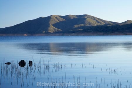 australasia;Australasian;Australia;australian;Blowering-Dam;Blowering-Reservoir;dam;dams;lake;lakes;N.S.W.;New-South-Wales;NSW;reed;reeds;reservoir;reservoirs;Snowy-Mountains;Snowy-Mountains-Drive;Snowy-Mountains-Hydro_Electric-Scheme;Snowy-Mountains-Scheme;South-New-South-Wales;Southern-New-South-Wales;water