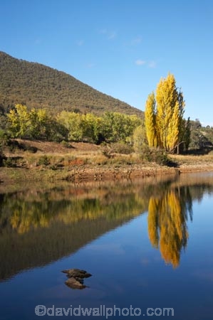australasia;Australasian;Australia;australian;autuminal;autumn;autumn-colour;autumn-colours;autumnal;calm;color;colors;colour;colours;dam;dams;deciduous;fall;Jounama-Dam;Jounama-Pondage;Jounama-Reservoir;lake;lakes;leaf;leaves;N.S.W.;New-South-Wales;NSW;placid;poplar;poplar-tree;poplar-trees;poplars;quiet;reflection;reflections;reservoir;reservoirs;season;seasonal;seasons;serene;smooth;Snowy-Mountains;Snowy-Mountains-Drive;Snowy-Mountains-Highway;Snowy-Mountains-Hydro_Electric-Scheme;Snowy-Mountains-Scheme;South-New-South-Wales;Southern-New-South-Wales;still;Talbingo;tranquil;tree;trees;water