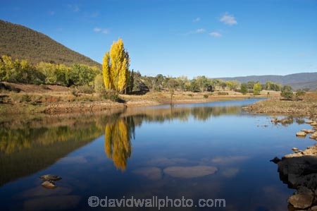 australasia;Australasian;Australia;australian;autuminal;autumn;autumn-colour;autumn-colours;autumnal;calm;color;colors;colour;colours;dam;dams;deciduous;fall;Jounama-Dam;Jounama-Pondage;Jounama-Reservoir;lake;lakes;leaf;leaves;N.S.W.;New-South-Wales;NSW;placid;poplar;poplar-tree;poplar-trees;poplars;quiet;reflection;reflections;reservoir;reservoirs;season;seasonal;seasons;serene;smooth;Snowy-Mountains;Snowy-Mountains-Drive;Snowy-Mountains-Highway;Snowy-Mountains-Hydro_Electric-Scheme;Snowy-Mountains-Scheme;South-New-South-Wales;Southern-New-South-Wales;still;Talbingo;tranquil;tree;trees;water