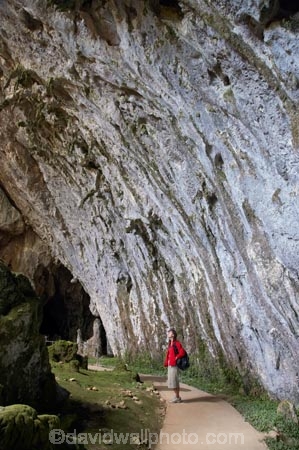 australasia;Australasian;Australia;australian;beach;beaches;cave;cavern;caverns;cavers;caves;caving;explore;exploring;grotto;grottos;Kosciuszko-N.P.;Kosciuszko-National-Park;Kosciuszko-NP;Limestone-Formations;N.S.W.;New-South-Wales;NSW;people;person;sand;scenic;Snowy-Mountains;Snowy-Mountains-Drive;Snowy-Mountains-Highway;Snowy-Mountains,;South-Glory-Cave;South-New-South-Wales;Southern-New-South-Wales;Yarrangobilly-Cave;Yarrangobilly-Caves