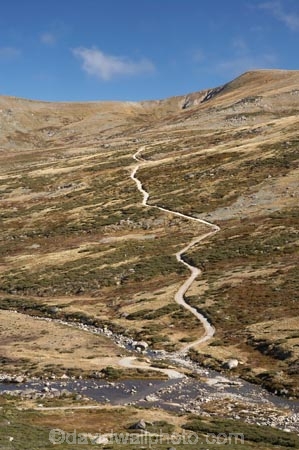 alpine;Australia;brook;brooks;creek;creeks;flow;Great-Dividing-Range;Kosciuszko-N.P.;Kosciuszko-National-Park;Kosciuszko-NP;Main-Range-Track;mountains;N.S.W.;New-South-Wales;NSW;Snowy-Mountains;Snowy-River;South-New-South-Wales;Southern-New-South-Wales;stream;streams;valley;valleys;water;wet