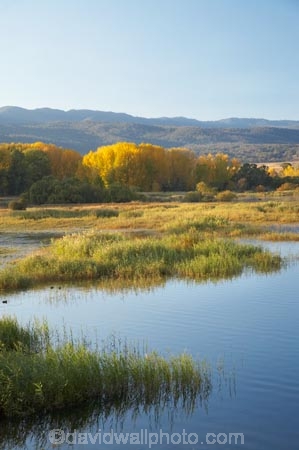 Alpine-Way;Australia;autuminal;autumn;autumn-colour;autumn-colours;autumnal;color;colors;colour;colours;dam;dams;deciduous;fall;Khancoban;Khancoban-Dam;Khancoban-Pondage;Khancoban-Reservoir;lake;lakes;leaf;leaves;N.S.W.;New-South-Wales;NSW;pondage;reservoir;reservoirs;season;seasonal;seasons;Snowy-Mountains;Snowy-Mountains-Drive;Snowy-Mountains-Hydro_Electric-Scheme;Snowy-Mountains-Scheme;South-New-South-Wales;Southern-New-South-Wales;tree;trees;water