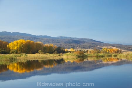 Alpine-Way;Australia;autuminal;autumn;autumn-colour;autumn-colours;autumnal;calm;color;colors;colour;colours;dam;dams;deciduous;fall;Khancoban;Khancoban-Dam;Khancoban-Pondage;Khancoban-Reservoir;lake;lakes;leaf;leaves;N.S.W.;New-South-Wales;NSW;placid;pondage;quiet;reflection;reflections;reservoir;reservoirs;season;seasonal;seasons;serene;smooth;Snowy-Mountains;Snowy-Mountains-Drive;Snowy-Mountains-Hydro_Electric-Scheme;Snowy-Mountains-Scheme;South-New-South-Wales;Southern-New-South-Wales;still;tranquil;tree;trees;water