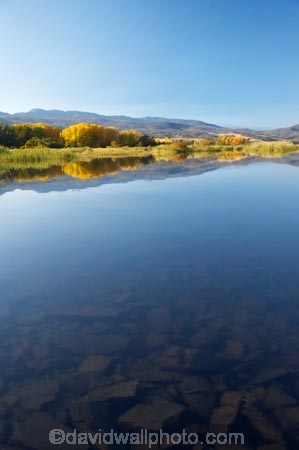 Alpine-Way;Australia;autuminal;autumn;autumn-colour;autumn-colours;autumnal;calm;color;colors;colour;colours;dam;dams;deciduous;fall;Khancoban;Khancoban-Dam;Khancoban-Pondage;Khancoban-Reservoir;lake;lakes;leaf;leaves;N.S.W.;New-South-Wales;NSW;placid;pondage;quiet;reflection;reflections;reservoir;reservoirs;season;seasonal;seasons;serene;smooth;Snowy-Mountains;Snowy-Mountains-Drive;Snowy-Mountains-Hydro_Electric-Scheme;Snowy-Mountains-Scheme;South-New-South-Wales;Southern-New-South-Wales;still;tranquil;tree;trees;water