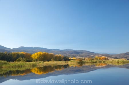 Alpine-Way;Australia;autuminal;autumn;autumn-colour;autumn-colours;autumnal;calm;color;colors;colour;colours;dam;dams;deciduous;fall;Khancoban;Khancoban-Dam;Khancoban-Pondage;Khancoban-Reservoir;lake;lakes;leaf;leaves;N.S.W.;New-South-Wales;NSW;placid;pondage;quiet;reflection;reflections;reservoir;reservoirs;season;seasonal;seasons;serene;smooth;Snowy-Mountains;Snowy-Mountains-Drive;Snowy-Mountains-Hydro_Electric-Scheme;Snowy-Mountains-Scheme;South-New-South-Wales;Southern-New-South-Wales;still;tranquil;tree;trees;water