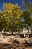 australasia;Australasian;Australia;australian;autuminal;autumn;autumn-colour;autumn-colours;autumnal;cart;carts;cartwheel;cartwheels;color;colors;colour;colours;deciduous;derelict;fall;Gundagai;heritage;historic;historical;history;Joseph-Carberrys-Inn;leaf;leaves;N.S.W.;New-South-Wales;NSW;old;pony-cart;ruin;ruins;season;seasonal;seasons;South-New-South-Wales;South-West-Slopes;Southern-New-South-Wales;spoked-wheel;spoked-wheels;stone-ruins;The-Limestone-Inn;tradition;traditional;tree;trees;waggon;waggons;wagon;wagon-wheel;wagon-wheels;wagons;wheel;wheels