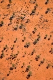 aerial;aerial-photo;aerial-photography;aerial-photos;aerial-view;aerial-views;aerials;Allocasuarina-decaisneana;arid;Australasia;Australia;Australian;Australian-Desert;Australian-Deserts;Desert;Desert-Oak;Desert-Oaks;Deserts;Kurkara;N.T.;National-Park;National-Parks;Northern-Territory;NT;orange-sand;Outback;red;red-centre;red-sand;sand;sandy;Uluru;Uluru-_-Kata-Tjuta-National-Park;Uluru-_-Kata-Tjuta-World-Heritage-Area;Uluru_Kata-Tjuta;UNESCO;Unesco-world-heritage-area;World-Heritage-Area;World-Heritage-Areas