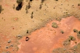 aerial;aerial-photo;aerial-photography;aerial-photos;aerial-view;aerial-views;aerials;arid;Australasia;Australia;Australian;Australian-Desert;Australian-Deserts;camel;camels;Desert;Deserts;dromedaries;dromedary;N.T.;National-Park;National-Parks;Northern-Territory;NT;orange-sand;Outback;red;red-centre;red-sand;sand;sandy;Uluru;Uluru-_-Kata-Tjuta-National-Park;Uluru-_-Kata-Tjuta-World-Heritage-Area;Uluru_Kata-Tjuta;UNESCO;Unesco-world-heritage-area;World-Heritage-Area;World-Heritage-Areas