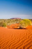 Anugu;arid;Australasia;Australia;Australian;Australian-Desert;Australian-Deserts;back-country;backcountry;Desert;Deserts;dune;dunes;N.T.;National-Park;National-Parks;Northern-Territory;NT;Outback;red-centre;ripple;ripples;sand;sand-dune;sand-dunes;sand-hill;sand-hills;sand_dune;sand_dunes;sand_hill;sand_hills;sanddune;sanddunes;sandhill;sandhills;sandy;The-Outback;Uluru-_-Kata-Tjuta-National-Park;Uluru-_-Kata-Tjuta-World-Heritage-Area;UNESCO;Unesco-world-heritage-area;World-Heritage-Area;World-Heritage-Areas