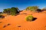 Northern Territory - Outback