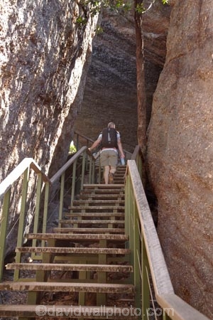 Anbangbang-Shelter;Australia;Australian;Burrunggui;Gagadju;Kakadu;Kakadu-N.P.;Kakadu-National-Park;Kakadu-NP;male;man;men;N.T.;Northern-Territory;Nourlangie;Nourlangie-Rock;NT;people;person;stair;staircase;staircases;stairs;Top-End;tourism;tourist;tourists;UN-world-heritage-area;UN-world-heritage-site;UNESCO-World-Heritage-area;UNESCO-World-Heritage-Site;united-nations-world-heritage-area;united-nations-world-heritage-site;world-heritage;world-heritage-area;world-heritage-areas;World-Heritage-Park;World-Heritage-site;World-Heritage-Sites