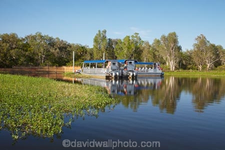 Australia;Australian;billabong;billabongs;boat;boats;calm;cruise;cruises;flood-plain;flood-plains;floodplain;floodplains;Gagadju;Gagudju-Dreaming;Kakadu;Kakadu-billabong;Kakadu-billabongs;Kakadu-flood-plain;Kakadu-flood-plains;Kakadu-floodplain;Kakadu-floodplains;Kakadu-N.P.;Kakadu-National-Park;Kakadu-NP;Kakadu-wetland;Kakadu-wetland-cruise;Kakadu-wetland-cruises;Kakadu-wetlands;N.T.;Northern-Territory;NT;placid;quiet;reflection;reflections;serene;smooth;still;Top-End;tour-boat;tour-boats;tourism;tourist;tourist-attraction;tourist-attractions;tourist-boat;tourist-boats;tranquil;UN-world-heritage-area;UN-world-heritage-site;UNESCO-World-Heritage-area;UNESCO-World-Heritage-Site;united-nations-world-heritage-area;united-nations-world-heritage-site;water;wetland;wetlands;world-heritage;world-heritage-area;world-heritage-areas;World-Heritage-Park;World-Heritage-site;World-Heritage-Sites;Yellow-Water;Yellow-Water-Billabong;Yellow-Water-Cruise;Yellow-Water-Cruise-Boat;Yellow-Water-Cruises;Yellow-Water-Wetland;Yellow-Water-Wetlands