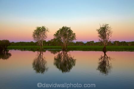 Australia;Australian;billabong;billabongs;calm;dusk;evening;flood-plain;flood-plains;floodplain;floodplains;Gagadju;Gagudju-Dreaming;Kakadu;Kakadu-billabong;Kakadu-billabongs;Kakadu-flood-plain;Kakadu-flood-plains;Kakadu-floodplain;Kakadu-floodplains;Kakadu-N.P.;Kakadu-National-Park;Kakadu-NP;Kakadu-wetland;Kakadu-wetlands;N.T.;nightfall;Northern-Territory;NT;PINK;placid;quiet;reflection;reflections;serene;sky;smooth;still;sunset;sunsets;Top-End;tranquil;twilight;UN-world-heritage-area;UN-world-heritage-site;UNESCO-World-Heritage-area;UNESCO-World-Heritage-Site;united-nations-world-heritage-area;united-nations-world-heritage-site;water;wetland;wetlands;wilderness;wilderness-area;wilderness-areas;world-heritage;world-heritage-area;world-heritage-areas;World-Heritage-Park;World-Heritage-site;World-Heritage-Sites;Yellow-Water;Yellow-Water-Billabong;Yellow-Water-Wetland;Yellow-Water-Wetlands