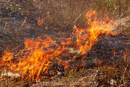 alight;Australia;Australian;burn;burned;burning;burnoff;burnoffs;burns;burnt;bush-fire;bush-fires;danger;dangerous;destruction;fire;fires;flamable;flame;flames;flaming;Gagadju;grass-fire;grass-fires;heat;hot;Kakadu;Kakadu-N.P.;Kakadu-National-Park;Kakadu-NP;N.T.;Northern-Territory;NT;on-fire;orange;Top-End;UN-world-heritage-area;UN-world-heritage-site;UNESCO-World-Heritage-area;UNESCO-World-Heritage-Site;united-nations-world-heritage-area;united-nations-world-heritage-site;wild-fire;wild-fires;wildfire;wildfires;world-heritage;world-heritage-area;world-heritage-areas;World-Heritage-Park;World-Heritage-site;World-Heritage-Sites